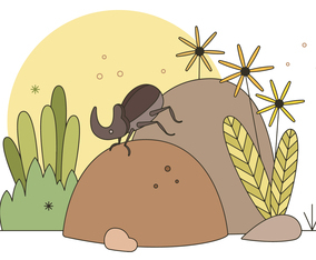 Dung Beetle Vector