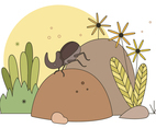Dung Beetle Vector