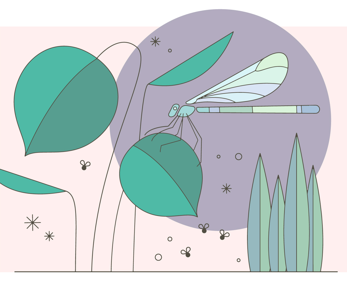 Dragonfly Pond Vector