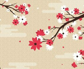 Cherry Blossoms Background Illustration