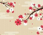 Cherry Blossoms Background Illustration