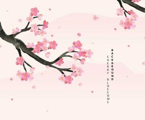 Cherry Blossoms Background Illustration