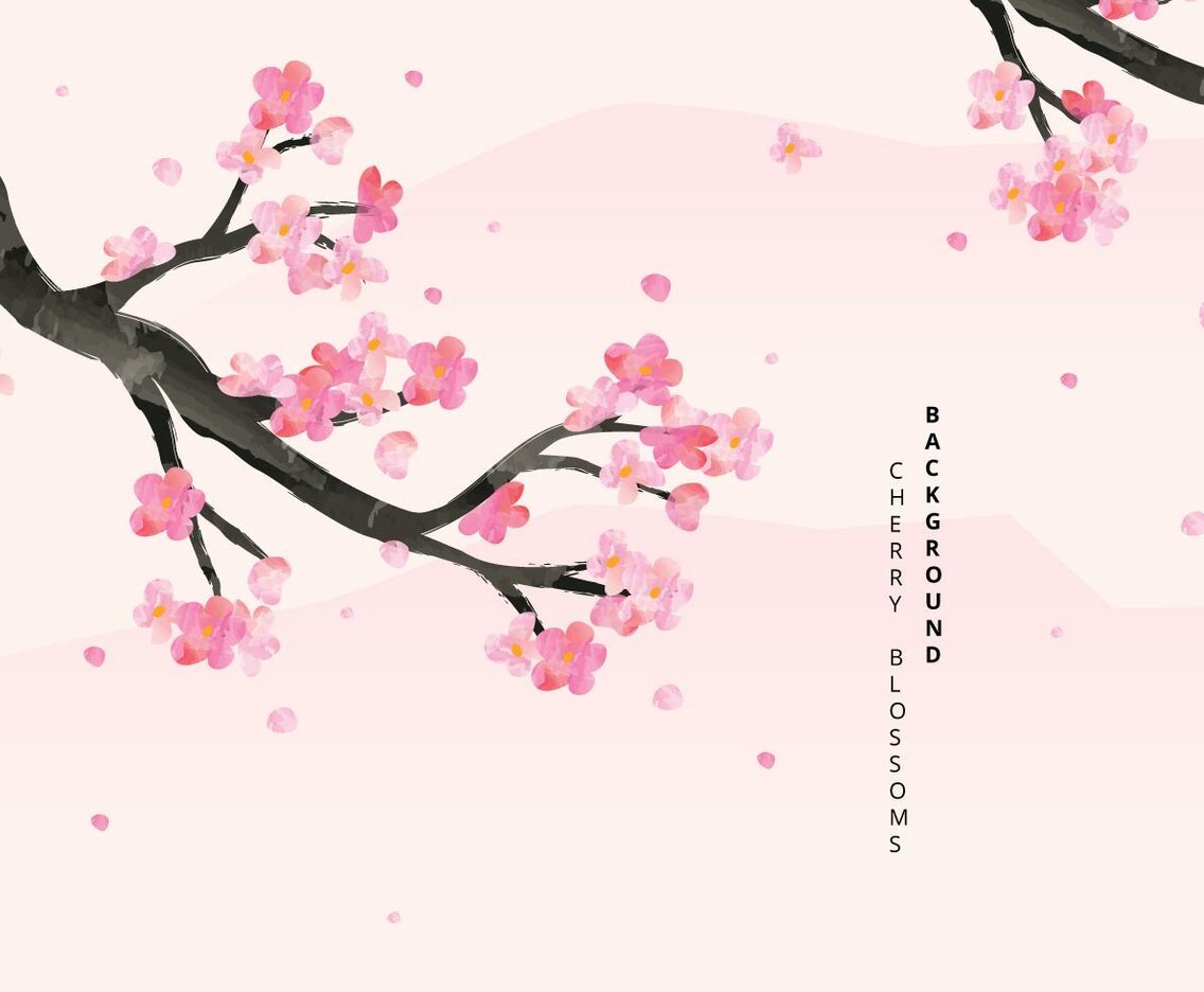 Cherry Blossoms Background Illustration