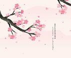 Cherry Blossoms Background Illustration