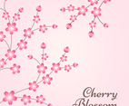 Cherry Blossom Spring Design Background