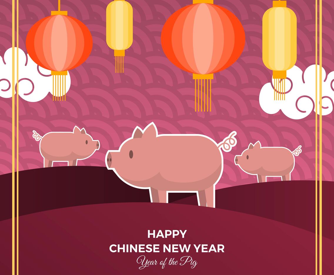 Flat Cute Chinese New Year 2019 With Pig Character Vector Background Illustration