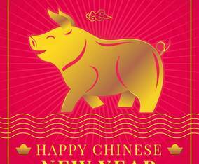 Chinese New Year Pig Idea