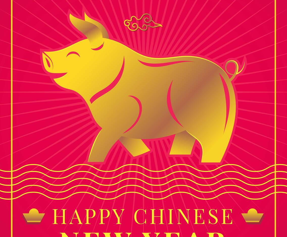 Chinese New Year Pig Idea