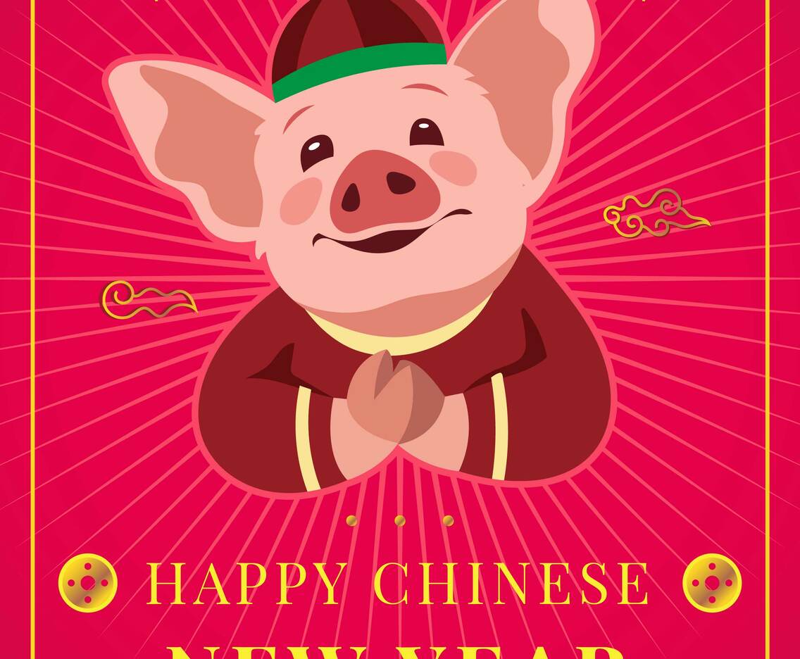 Chinese New Year Pig Concept