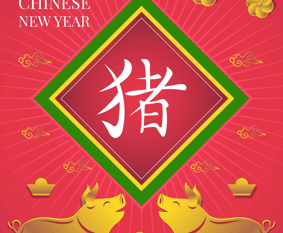 Chinese New Year Pig