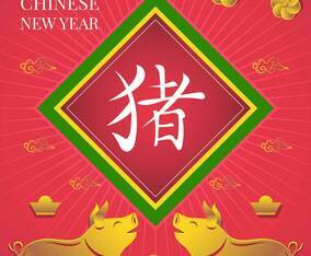 Chinese New Year Pig