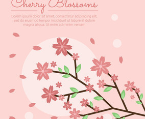 Cherry Blossom Sakura Vector