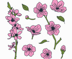 Doodled Botanical Cherry Blossom Flowers