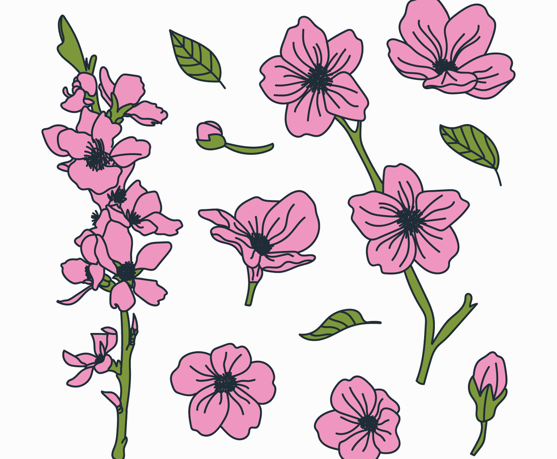 Doodled Botanical Cherry Blossom Flowers