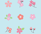Set Of Outlined Cherry Blossom Flowers