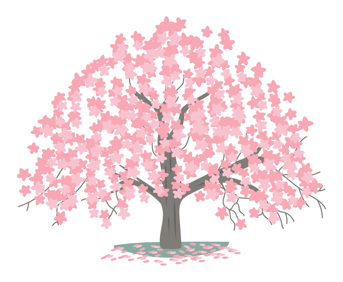 Cherry Blossom Tree