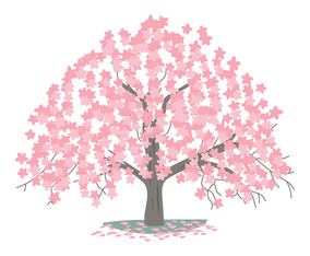 Cherry Blossom Tree