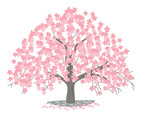 Cherry Blossom Tree