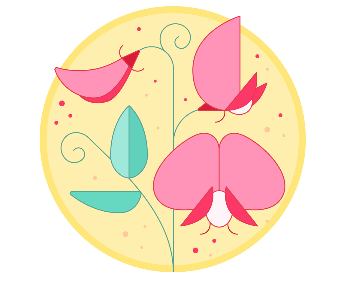 Orchid Vector
