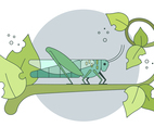 Grasshopper Vector