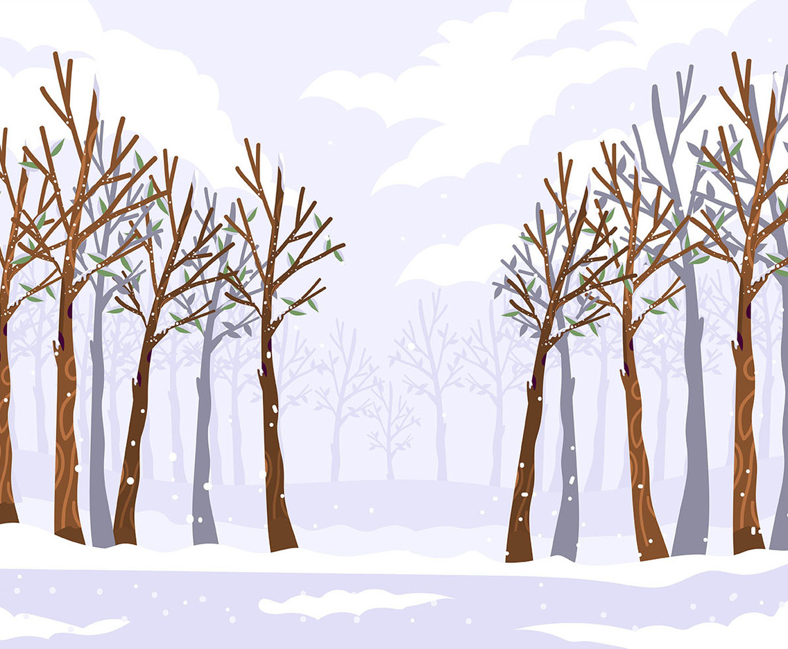 Winter Forest