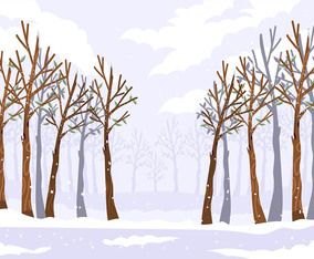 Winter Forest