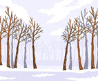 Winter Forest