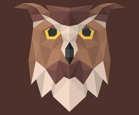 Owl Head Geometric Modern Illustration