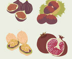 Autumn Fruits