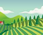 Vineyard Scenery First Person Vector Illustration