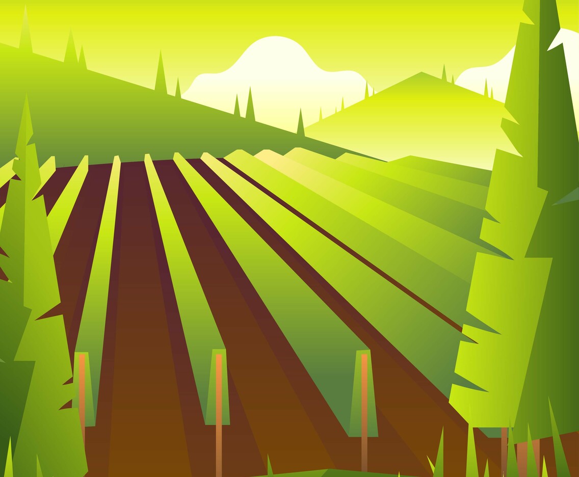 Vineyard Scenery First Person