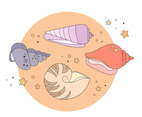 Seashells Vector