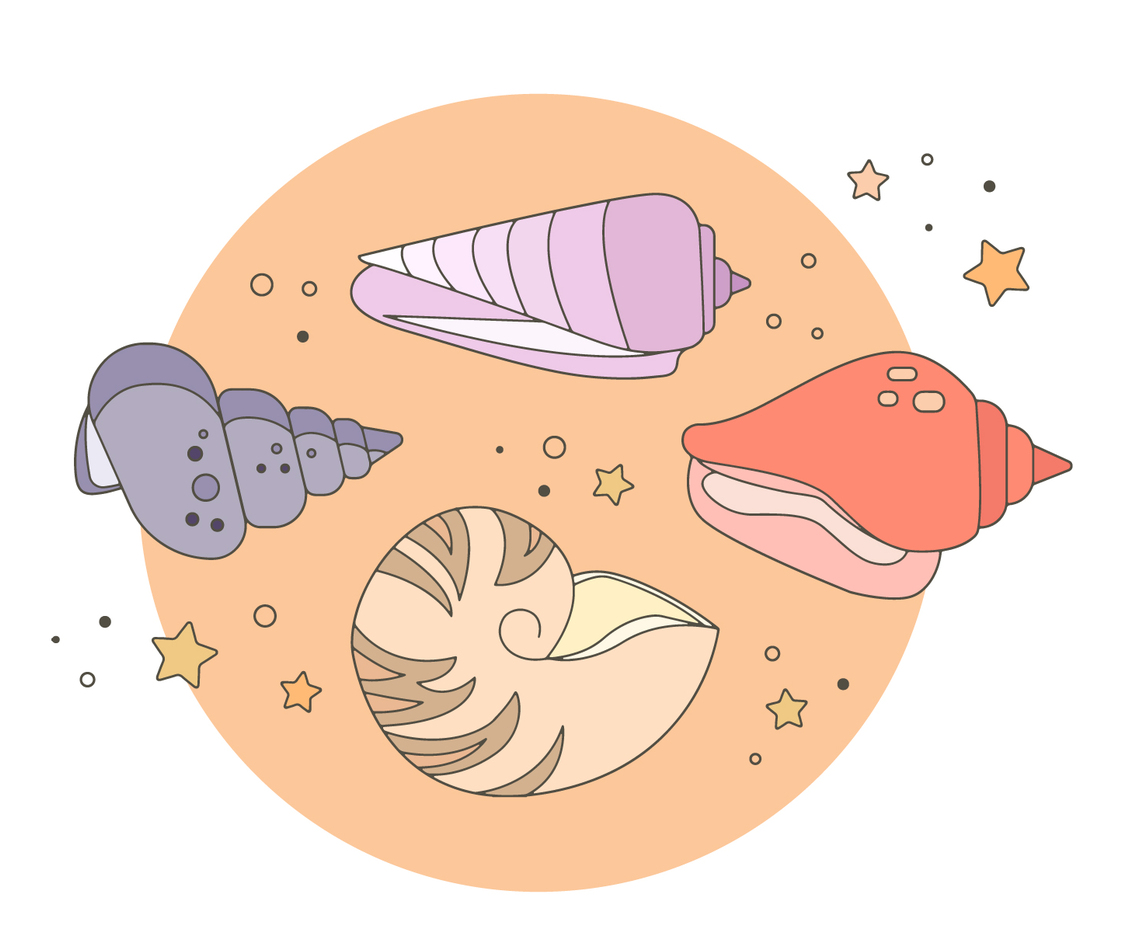 Seashells Vector