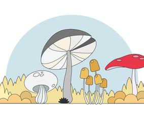 Mushrooms Vector