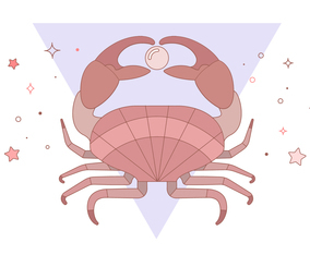 Crab Vector