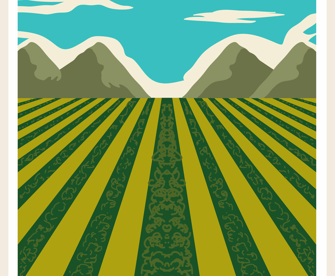 Vineyard Scenery Vector