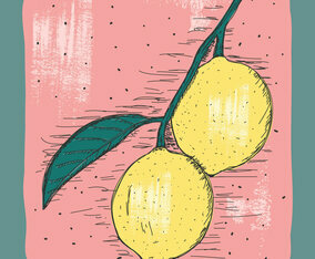 Vintage Lemon Illustration
