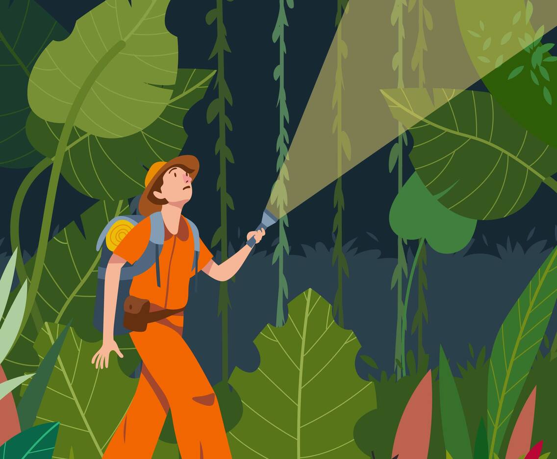 Jungle Explorers Vector Illustration