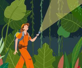 Jungle Explorers Vector Illustration