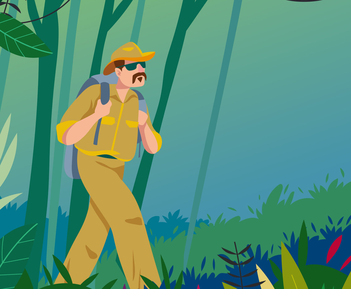 Jungle Explorers Adventure