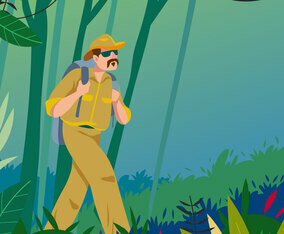 Jungle Explorers Adventure