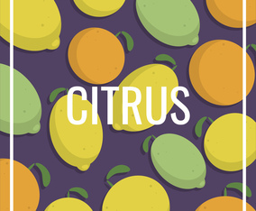 Vintage Citrus Lemon Fruits Pattern Illustration