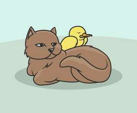 Unlikely Animal Pairs Vector Illustration