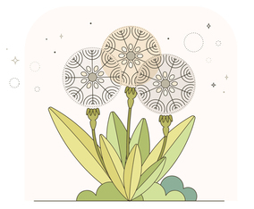 Dandelion Vector