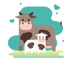 Adorable Cow Mother And Cub