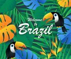 Tropic Exotic Brazil Background