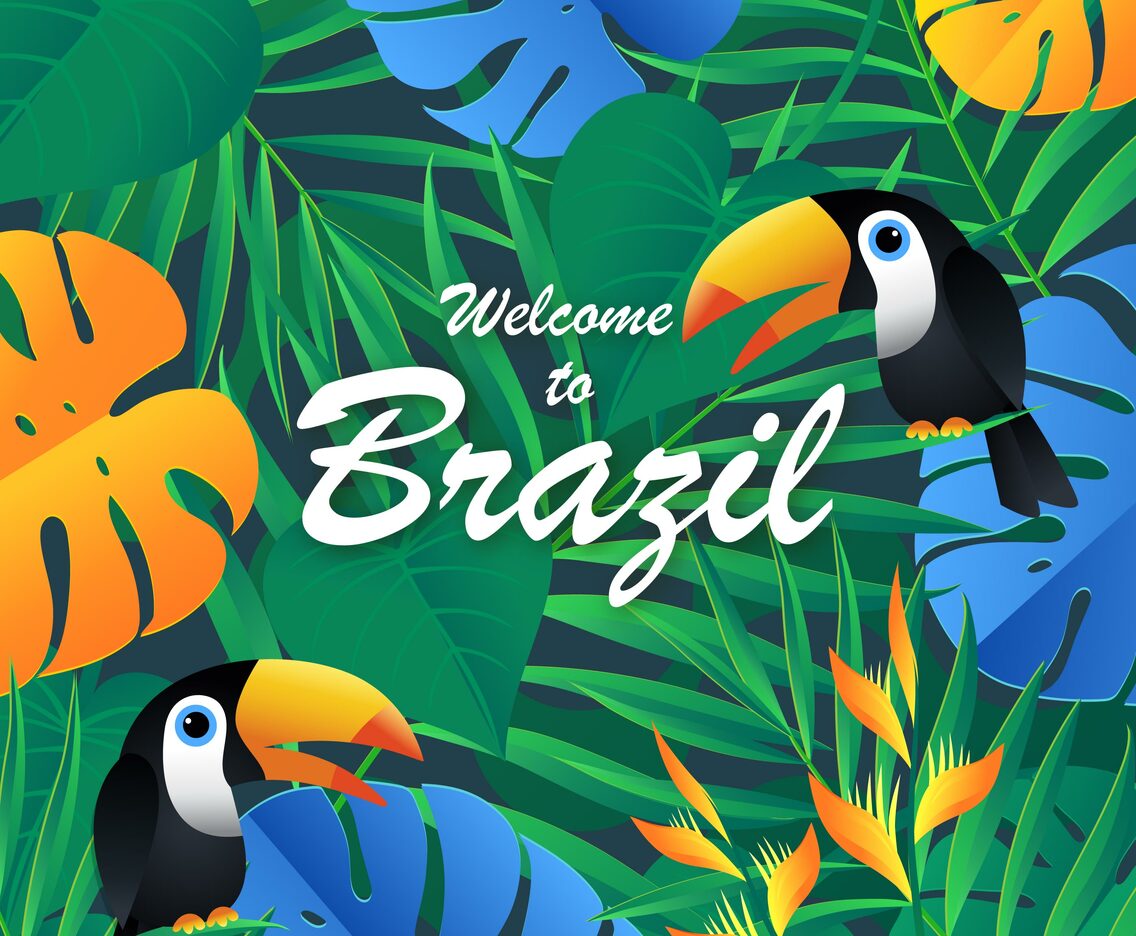 Tropic Exotic Brazil Background