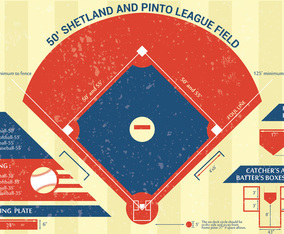 Baseball Park Infographic Vector Design