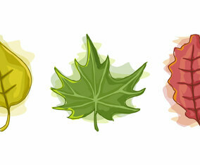 Beautiful Autumn Watercolor Floral Set Vectors