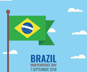 Brazilian Flag